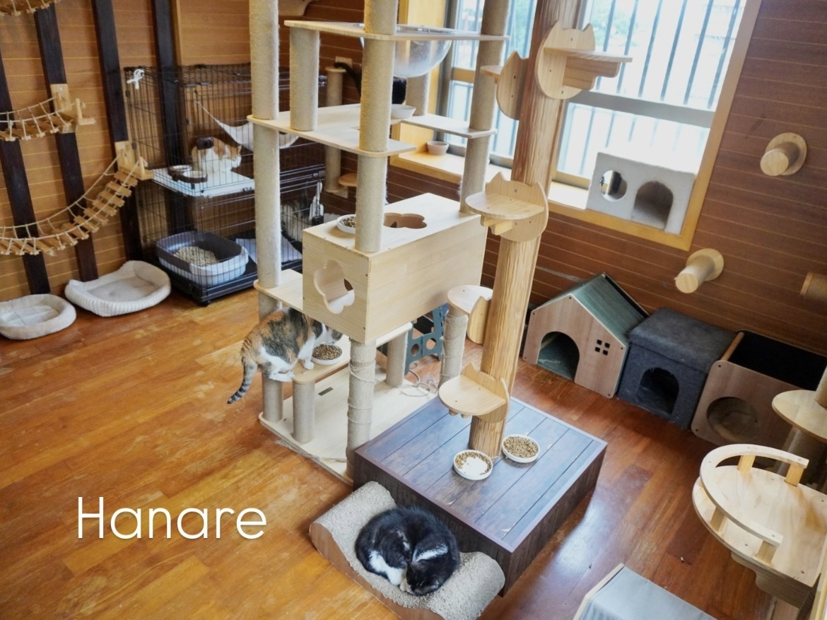 【 Hanare 】 メイン写真
