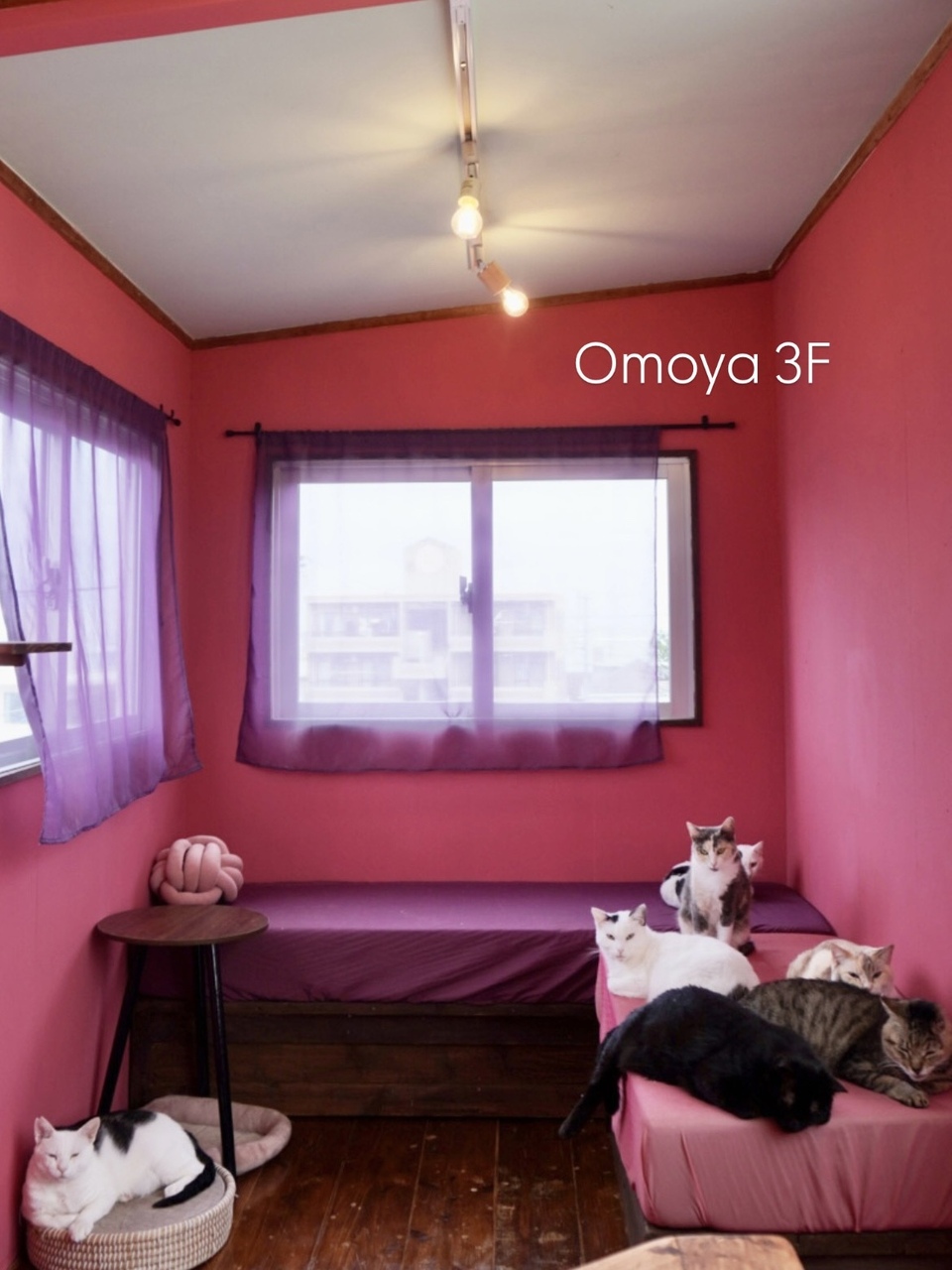【 Omoya 】 写真 3